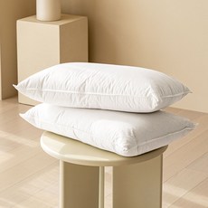 구스베개 1+1 거위털베개F