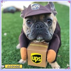 限時下殺 挑戰最低價 寵物搞怪快遞員萬聖節變身裝服飾中大型犬狗狗貓咪衣服裝飾用品, 1個, 快遞員咖啡,M