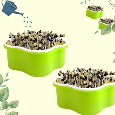 [오품] 콩나물 기르기 키트, 본상품, 1개