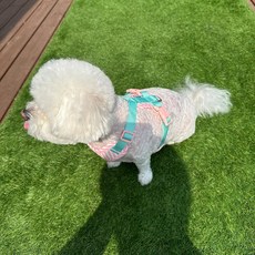 스카이몰 강아지 앵두 하네스 리드줄 세트, 1개, 핑크