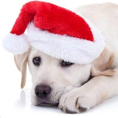 애완동물 크리스마스 산타클로스 파티 장식 고양이 모자 새해 용품 강아지용, 1개, red