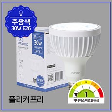 비츠온 PAR30 LED W 화이트(1등급) 30W 주광 집중형 KS