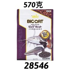 Hikari 高夠力 BIG CAT 大型肉食性底棲魚飼料, 1個, 大型肉食性底棲魚飼料570克, 570g