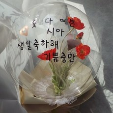 브니엘꽃 양귀비풍선꽃, 1개