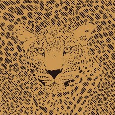 Nbnhxnff 스웨트 타월 카시트 커버 프로텍터 앞좌석 체육관 운동 달리기 수영 해변 및 하이킹용 자동차 트럭 밴 SUV용 방수 범용 시트 커버(블랙 1개) 19, 1pcs Front Seat, 딸기