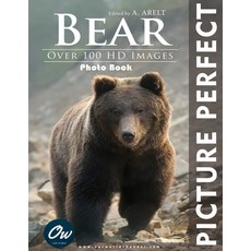 (영문도서) Bear: Picture Perfect Photo Book: Over 100 HD Images Paperback, Independently Published, English, 9798880132799