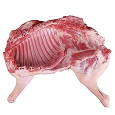 [대국맛짱] 청정지역 보신용 냄새없는 껍데기있음 염소고기 모듬지육 [암컷] (일요일&당일발송), 1개, 14kg