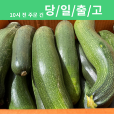 쥬키니호박 쥬키니 호박 가정용 업소용 [신흥유통][무료배송][산지직송], 1개, 쥬키니 호박 2kg