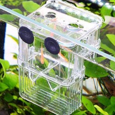 투명 아크릴 산란 보호 격리함 치어 성장 관리 번식 보조 용품 수조 부착형, 1개