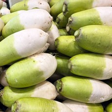 [더조은] 제주 세척 월동무 5kg (개당 800-1200g), 없음, 1개