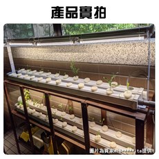 君沛植物燈 LED植物燈 T8燈管植物燈 3呎25W 植物生長燈 適合觀葉 鹿角蕨, 1個, 全光譜, 全光譜