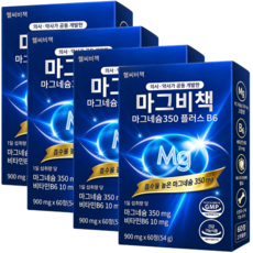 글루콘산 유기산 마그네슘 영양제 350mg 마그비책, 4개, 60정