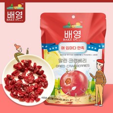 크랜베리 프림 설화과 재료, 100g*5백