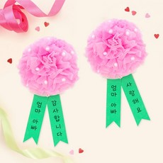 SA 내가만든 카네이션 분홍 10인용 DIY