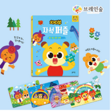 브레인숲 치타부자석퍼즐 유치원 어린이집 학교 학원 교습 교구 단체 창의력