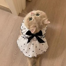 貓咪衣服春夏薄款透氣洋裝防掉毛寵物狗狗衣服, 黑色蝴蝶結,XS 【建議0.5-1.5公斤】, 1個