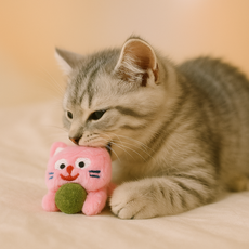 오색냥 캣닢볼 토이, 1개, 핑크냥