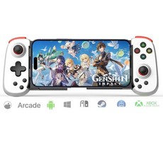 ArVin Wireless Controller for 아이폰호환 iPad iOS Android Tablet PC Switch Phone Game Joystick Xbox Clo, Simple Version(D6DP), White