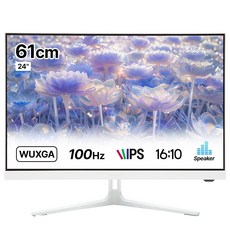 인터픽셀 IP2418 WUXGA IPS 100Hz 화이트 사무용 모니터 아이케어, IP2418(일반), 61cm