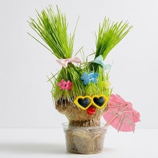 잔디 인형 키우기 키트 세트 화분 꾸미기 재배 단체 대량, 단품