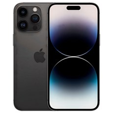 Apple 정품 아이폰 14 Pro Max 자급제, 스페이스블랙, 256GB
