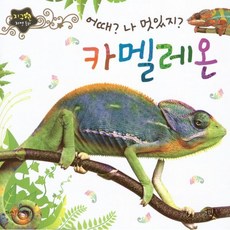 어때 나 멋있지 카멜레온, 인북