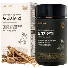뉴트리하트 도라지청 국산 약도라지 배도라지 흑도라지 청 배즙 진액, 2개, 210g