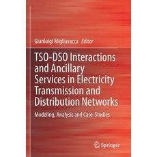 Tso-Dso Interactions and Ancillary Services in Electricity Transmission and Distribution Networks: M... Paperback, Springer, English, 9783030292058