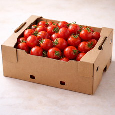 올릭팜 신선한 대추 방울토마토, 1박스, 2kg