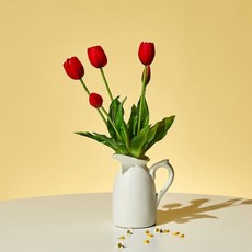 MODERN HOUSE 모던하우스 튤립부쉬 x5 41cm 레드 807316