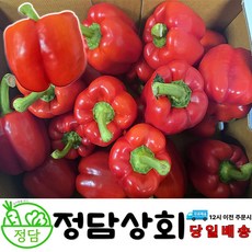 [ 정담상회 ] 국내산 빨강파프리카 홍파프리카 못난이파프리카 1kg 2kg 5kg 내외(사이즈 랜덤), 1박스, 1kg내외