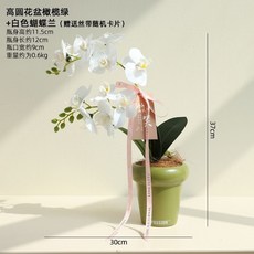 甜蜜cosmetics 陌歌仿真蝴蝶蘭小盆栽 假花擺設 客廳餐桌花藝擺件 北歐風手感風信子, 1個, 套餐1