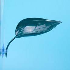 도마 개구리 파충류 탱크 있는 모조 일광욕 3개 흡착판이 공간 액세서리, A1