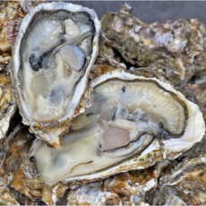 여수석화 명품 석화 당일조업발송 5kg / 10kg!, 1개, 5kg(35미 내외)