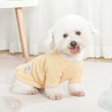 투니스 강아지 루즈핏 라운드넥 단색 긴소매 니트, 옐로, 1개