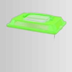 곤충 채집통 중형, 본상품