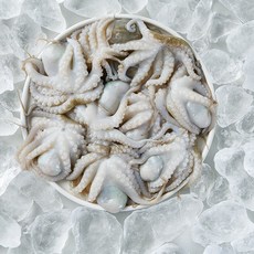 삼둥이수산 냉동 활쭈꾸미 80-100(12-13미) 100up(8-9미) 1kg 태국, 80-100
