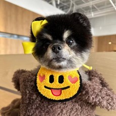 강아지 고양이 공용 옐로우 귀여운 표정 스카프 반려동물 패션 턱받이, 메롱이 cheeky tonguey, 1개