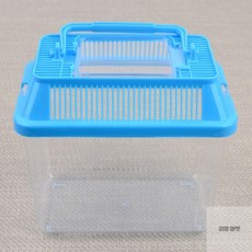 김영마켓 곤충 채집통 미니 곤충채집도구