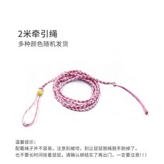 花枝鼠牽引繩 遛倉鼠繩子 背帶式小型外齣繩 外帶鏈子 齣門用品繩 飛鼠, 2米繩 顏色隨機, 1個