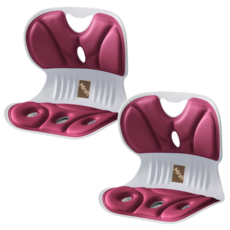 Mirsh [ 1+1 ] 바른자세 등받이 허리보호 자세보정 의자, 버건디