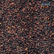 2025년산 이슬처럼 국내산 100% 햇흑미 진찰흑미 찰진주 4Kg, 1개
