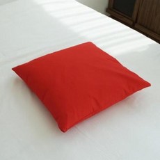 아트박스/샤이닝홈 팬톤 소파 방석커버 50x50 B레드 2P, 본품