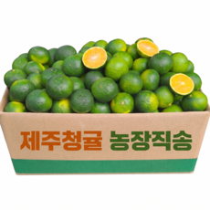 [26년첫수확] 새콤달콤 제주 청귤 풋귤, 1세트, 2kg