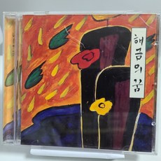 해금의 꿈 (초판)