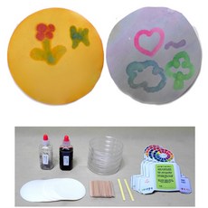 10인세트 ph시험지 과학만들기키트 산과염기 ph종이 관찰 원리 어린이