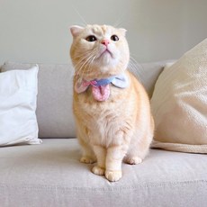 【恰氏手作】粉嫩嫩嬰兒藍mini花瓣造型寵物領巾，寶寶口水巾，嬰兒圍兜，手工製作，親膚柔軟