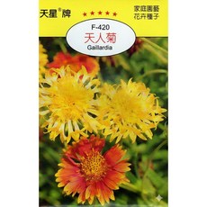 天星牌 天人菊種子 F-420 (Gaillardia)，野菜部屋穗耕種苗, 1包