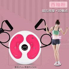 공기주입식 스탭퍼 발지압 유산소 실내 걷기 운동기구, E. 자석 허리 비틀기 디스크 핑크 줄 포함