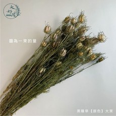 大好屋 永生花束 居家佈置與DIY插花素材, 黑種草_乾燥【原色】大束